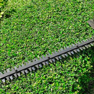 Commercial-Maintenance